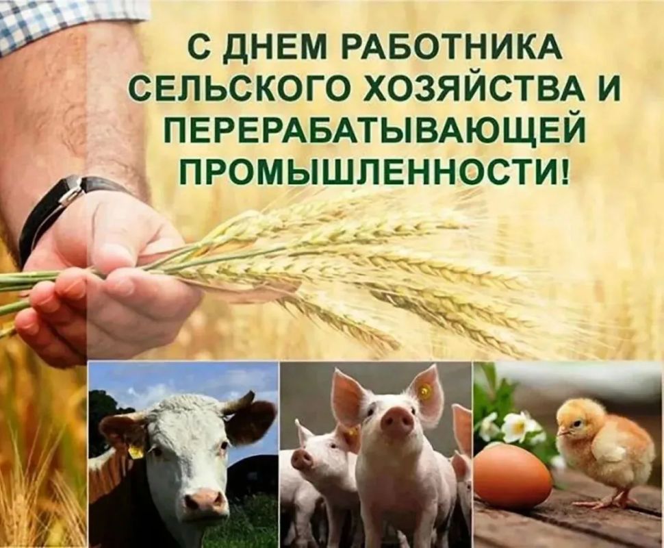 Уважаемые коллеги, работники сельского хозяйства и перерабатывающей промышленности, ветераны отрасли!