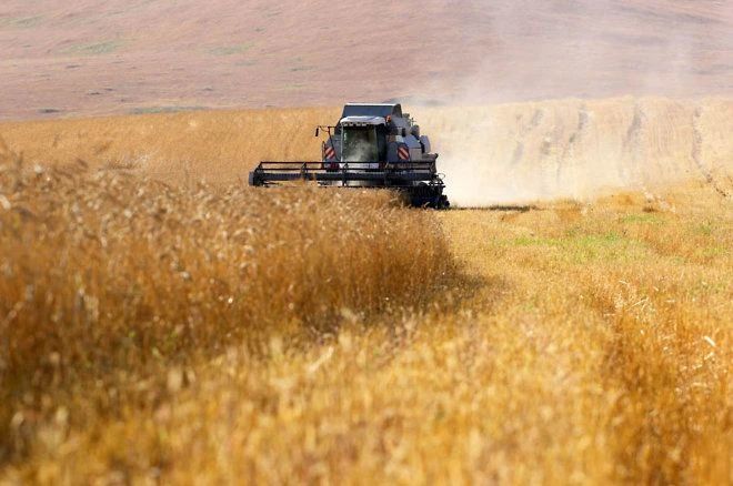 Кампания по уборке урожая продолжается в районах Забайкалья