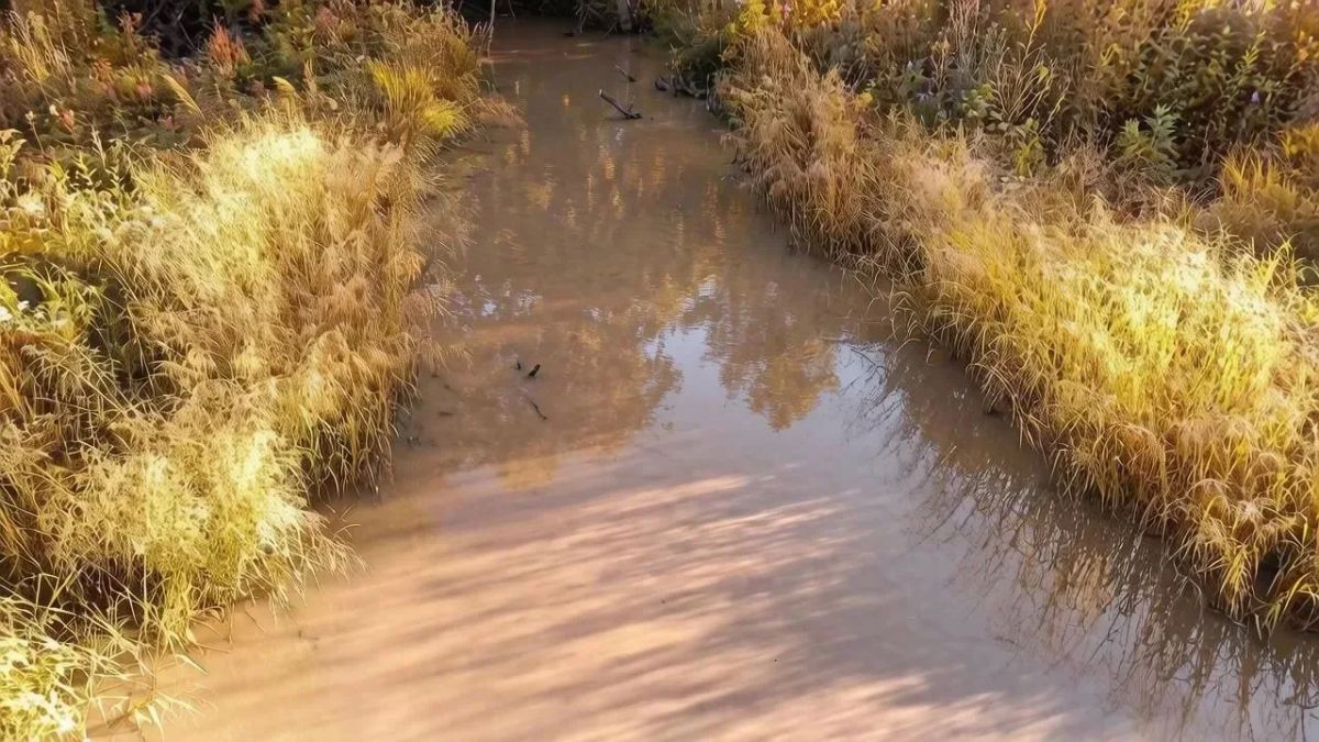 В одной из рек Забайкалья концентрация взвешенных веществ превысила норму
