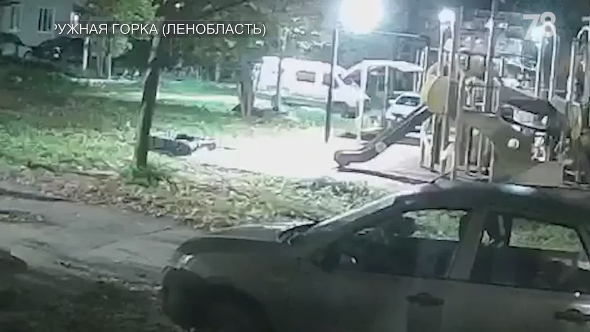 И укусит за бочок. Целые стаи волков терроризируют жителей по всей России