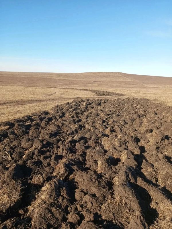 В Чите провели почти 100 км минерализованных полос в рамках подготовки к пожароопасному сезону В Чите провели почти 100 км минерализованных полос в рамках подготовки к пожароопасному сезону