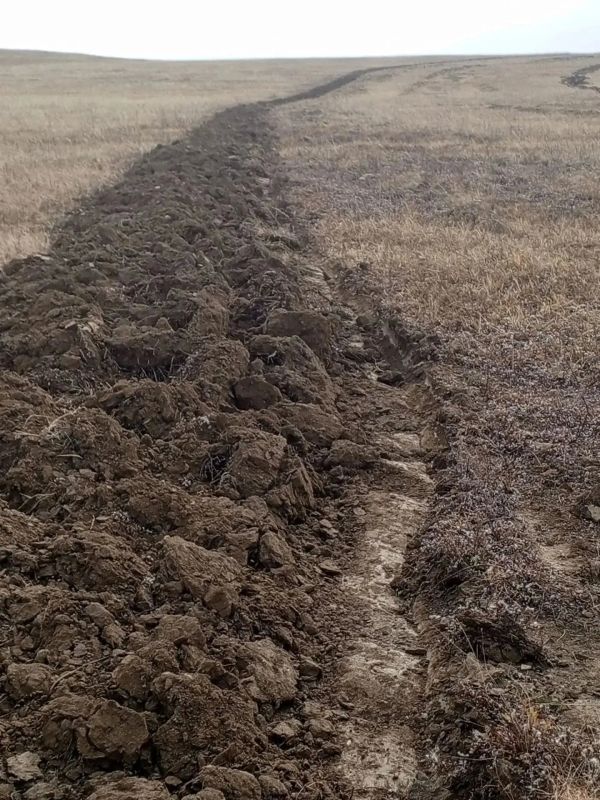 В Чите провели почти 100 км минерализованных полос в рамках подготовки к пожароопасному сезону В Чите провели почти 100 км минерализованных полос в рамках подготовки к пожароопасному сезону