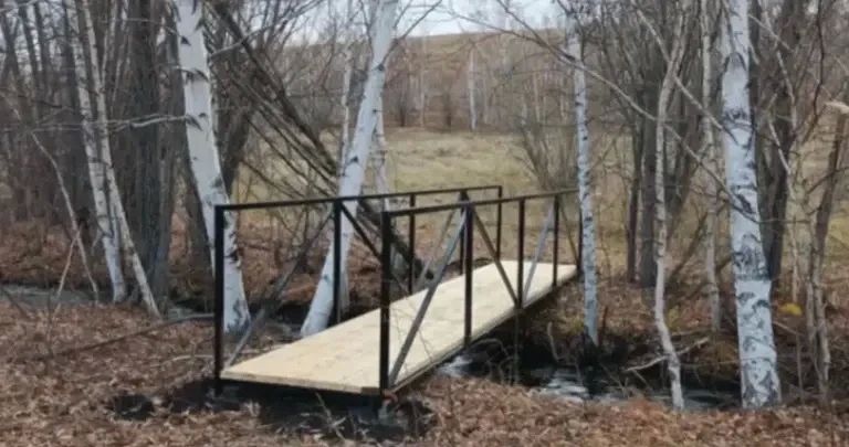 Тропу здоровья открыли в Читинском округе Тропу здоровья открыли в Читинском округе