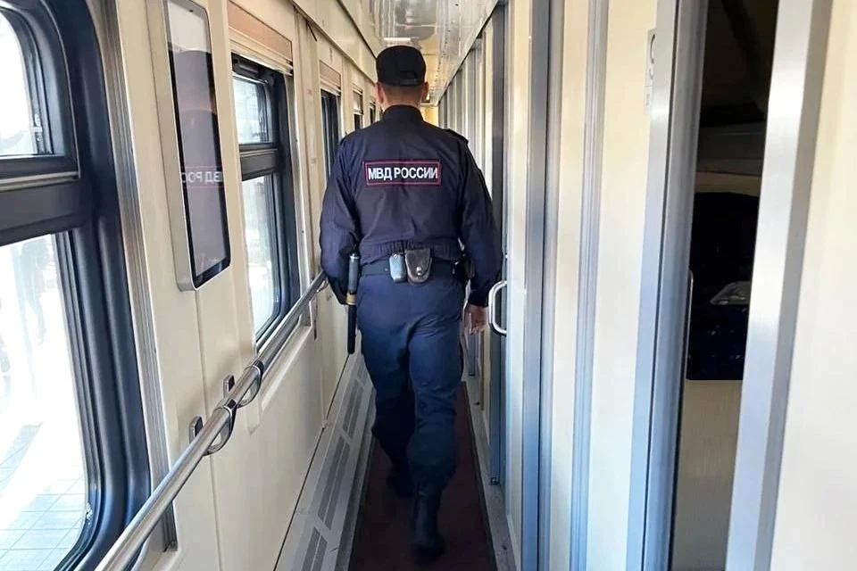 Находящегося в розыске забайкальца сняли с поезда «Владивосток – Москва»