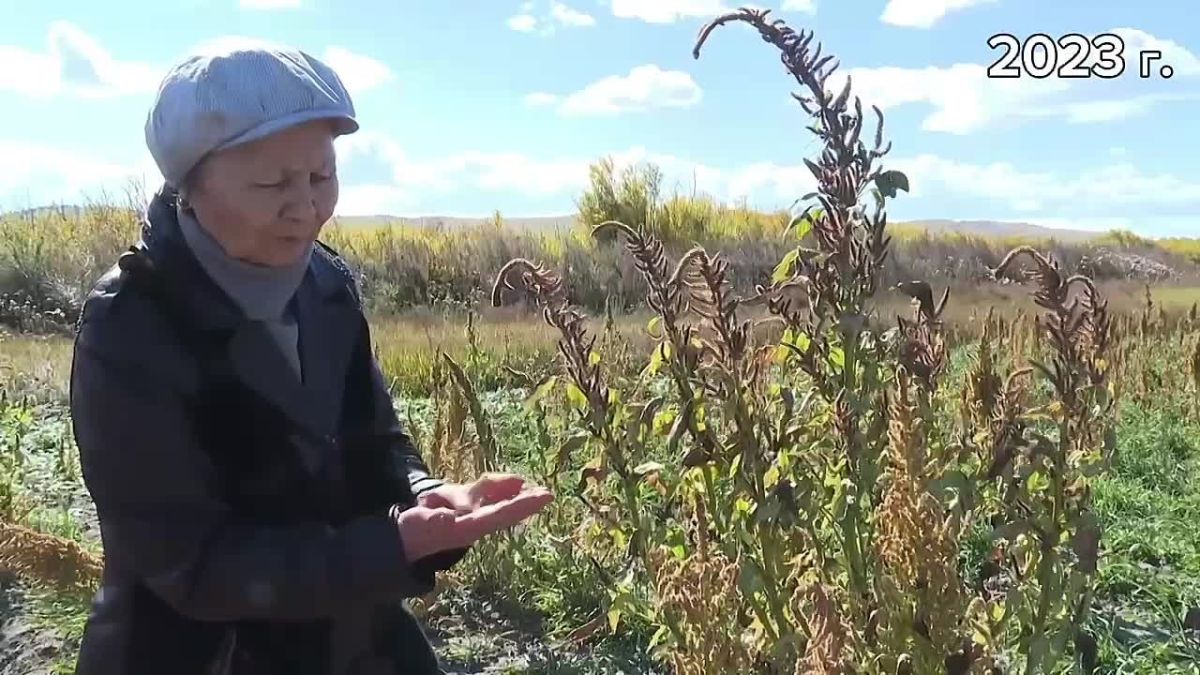 Цыпылма Жамбалова стала одной из лучших в Международном фотоконкурсе «Женщина-фермер: Лица Земли»