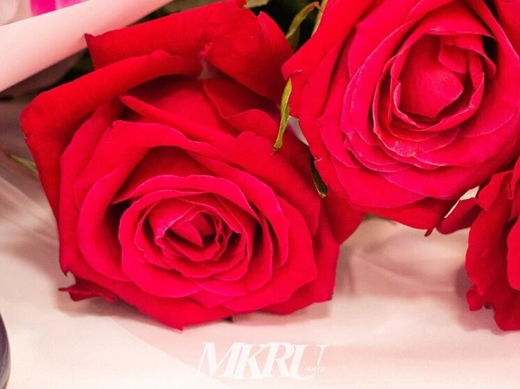 #Эксклюзив_МКвЧите. Читинский психиатр, психотерапевт Егор Потапов рассказал «МК в Чите», что удовлетворённость романтическими отношениями зависит от работы над собой