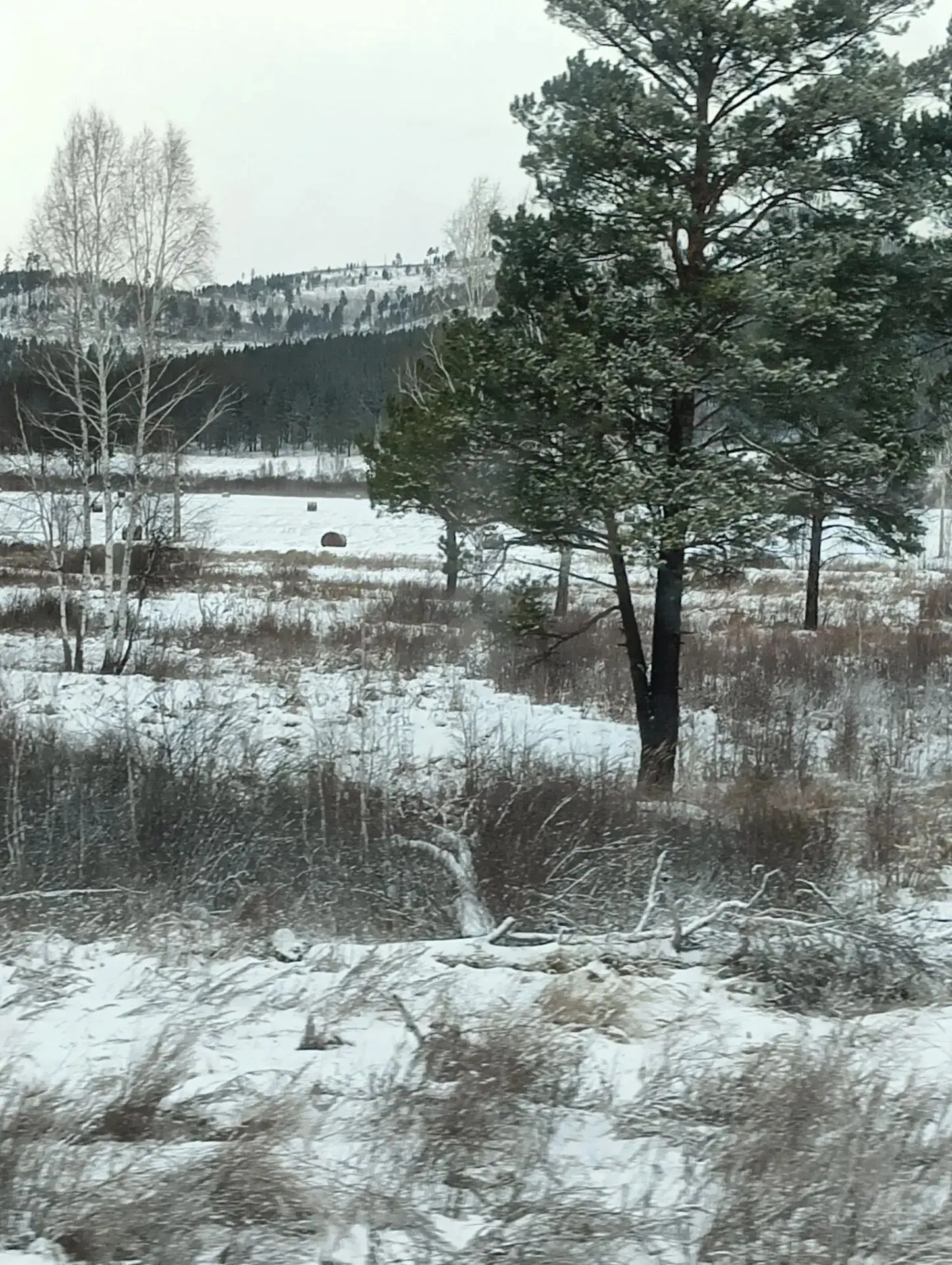 Солнце взошло, пора начинать новую страницу этой осени! Желаем вам сегодня поймать волну вдохновения и удержаться на ней весь день