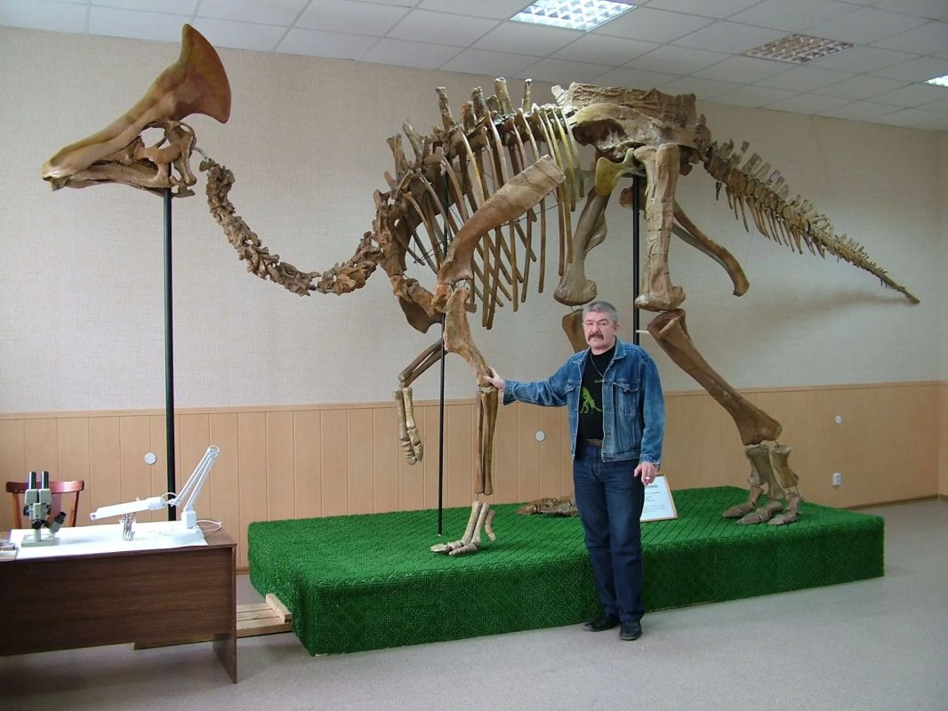 Сюрпризы природы Амурской области Сюрпризы природы Амурской области