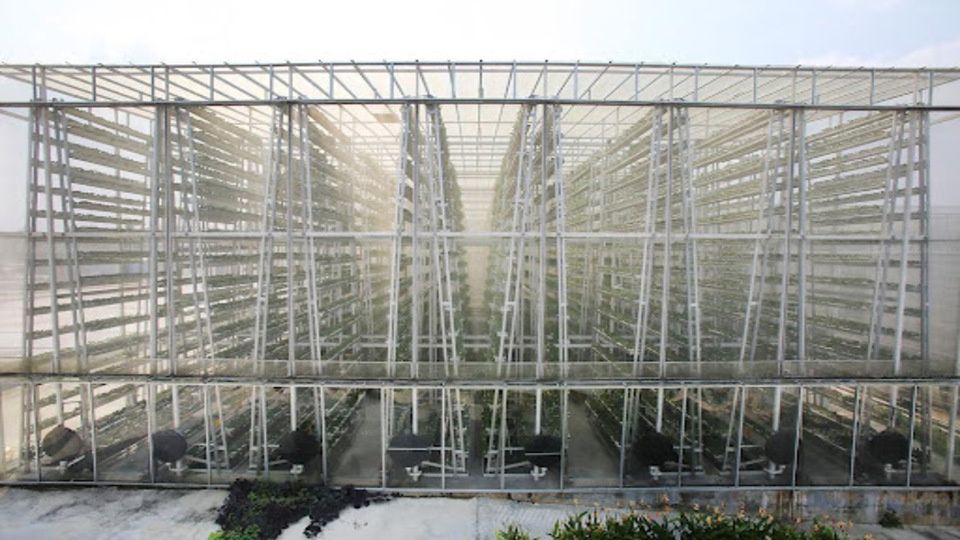 ������������ �����: ����� ����� � �������� ���������