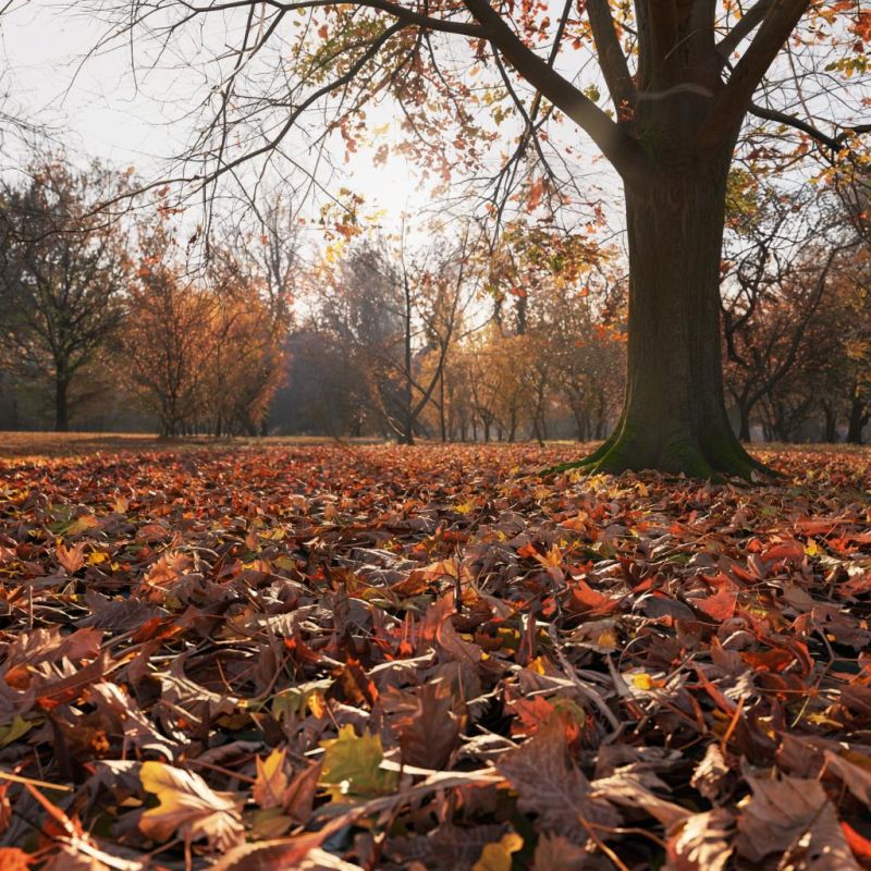 ��� ���������� ������� ������ � ������� �� 30 ����