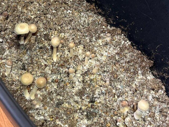 �� ��������� ������� ����� �� ����������� ��������������� ������