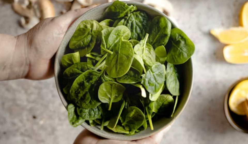 ������ � ����� ����: �������� � ������� ������� ��� ���� �����