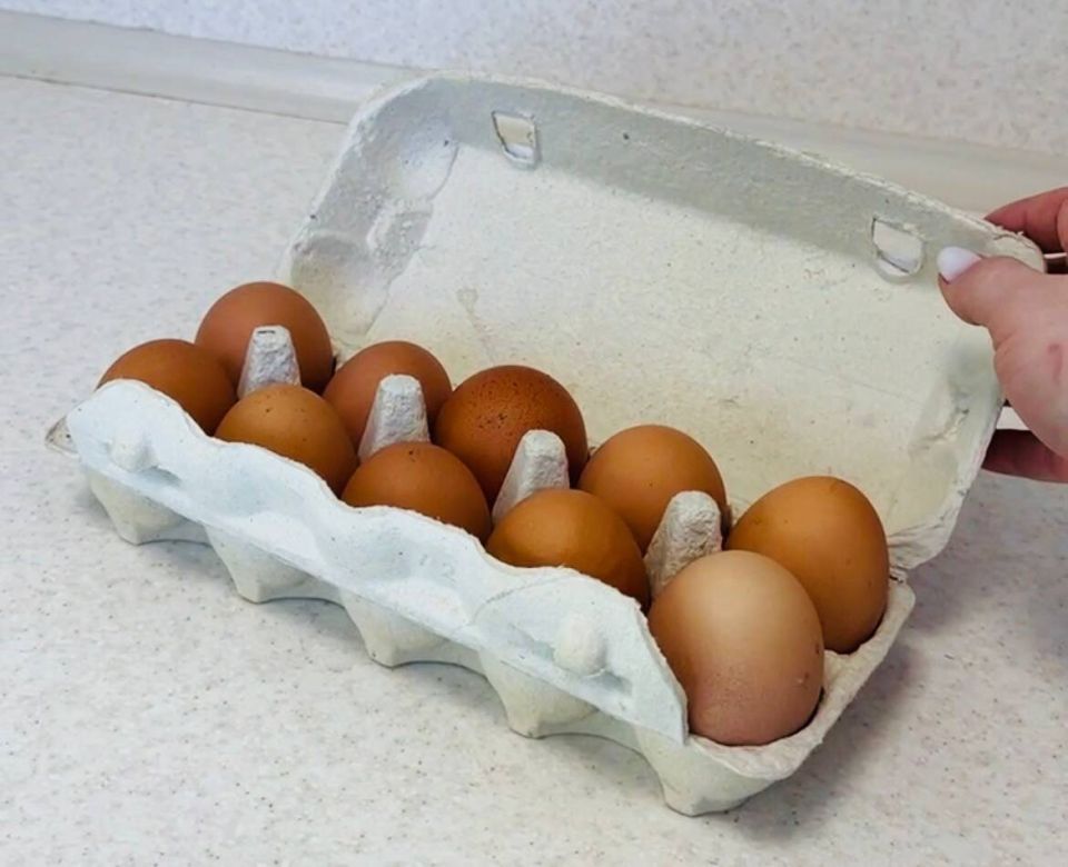 � ������ ����� ������ ���� ������ ����� � ������ ���� ���������� ������� ���� ������