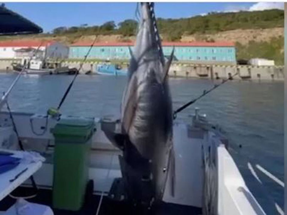 ������������ ���� � ���������� �������: ���������� ����� � ����� ������ �������