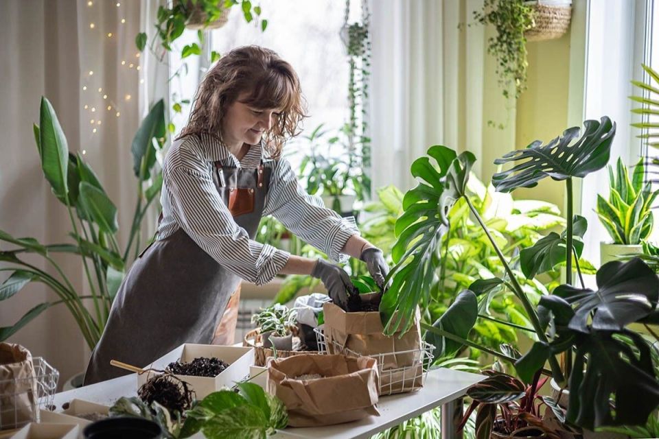 ��� ��������� ������������ �����: ������ ��� ����������