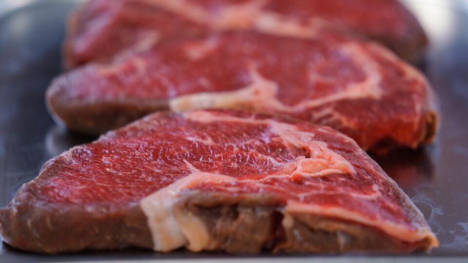 ������ ��������� �������� ������������ �������� �����: ����� �� ������� ����������