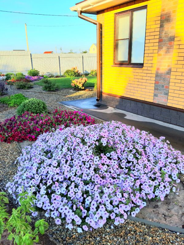 ������������ ������: ����������� �������, ���������� �������