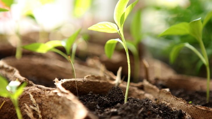 ��� ����������� �������� ������ ������� �� ������ ���