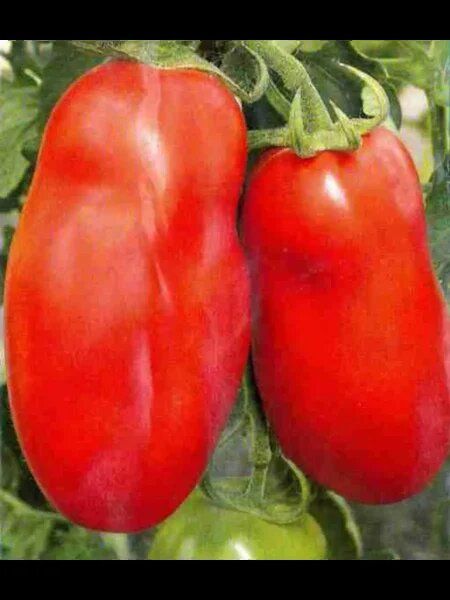 �������� ������: 6 ������ �������� ����������� �����, ������� ��������� ������ ���������