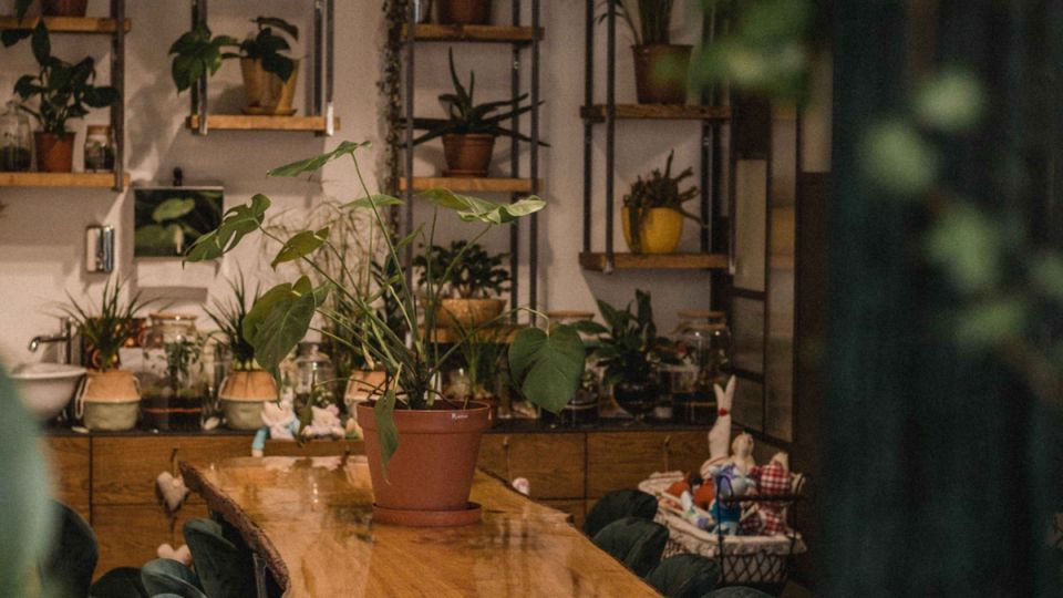 ��� �������� ���� ������ �������� � ��������� ������������ ������ ���������