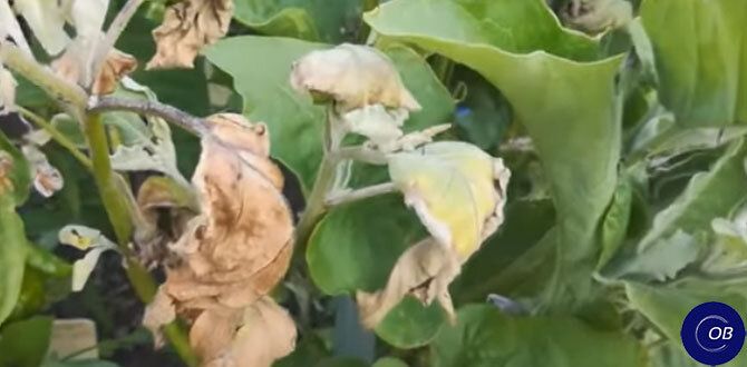 5 ���������, ��� ���� ��������� ������� � � ��� ������� �� � ����� �� ��������� ����