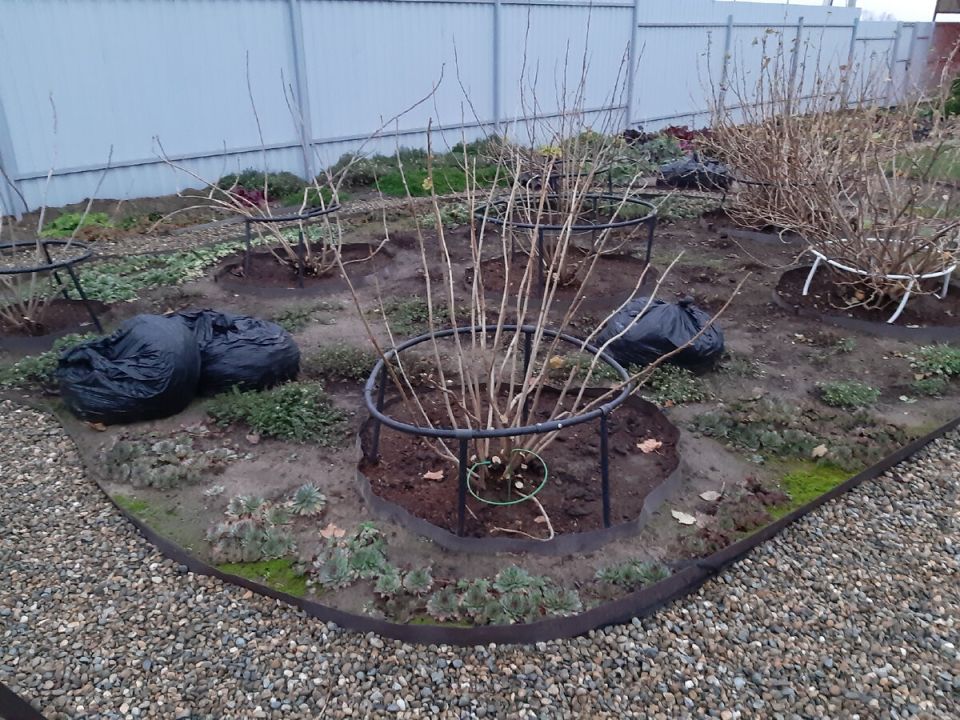 ��������������� ������: ����� 2026 �������� ������ � �������