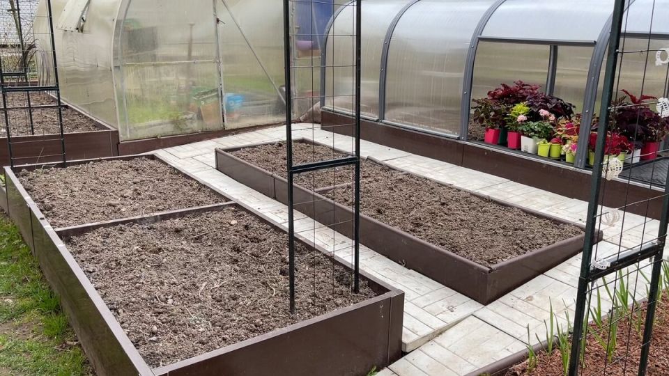 ��� ����������� ����� � ��������� ��� ��������� ������� ������