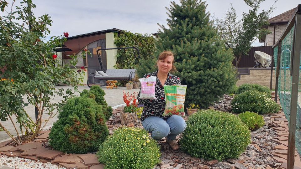 Как фосфор может изменить урожай осенью: секреты, которые вы не знали