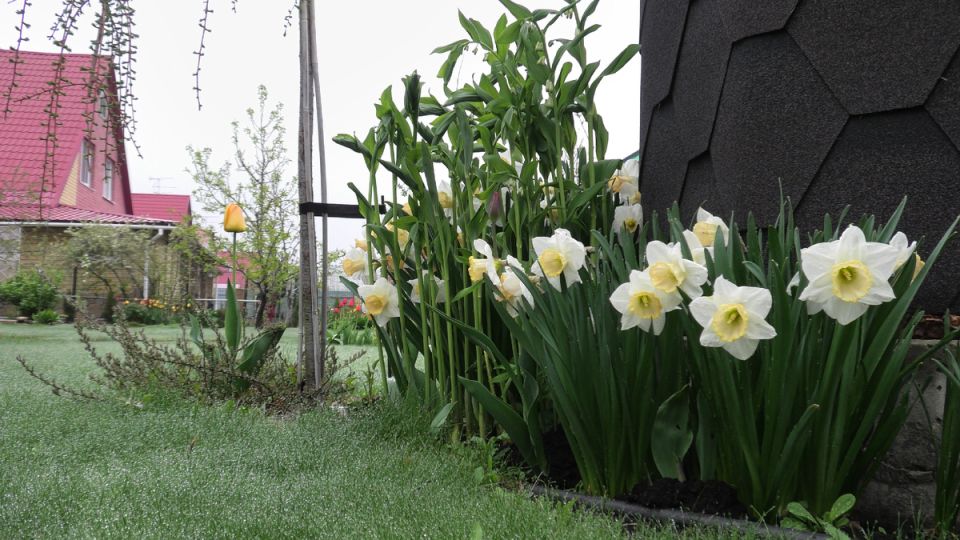 �������� ����� �� ����������: ����� ����������, ��� ������ � ����� ����� ������