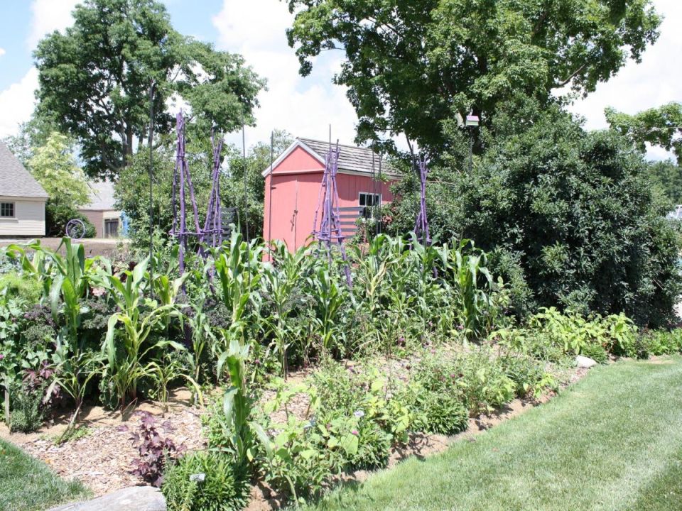 ����������� ������ ������ �� �������� �� ������� �������