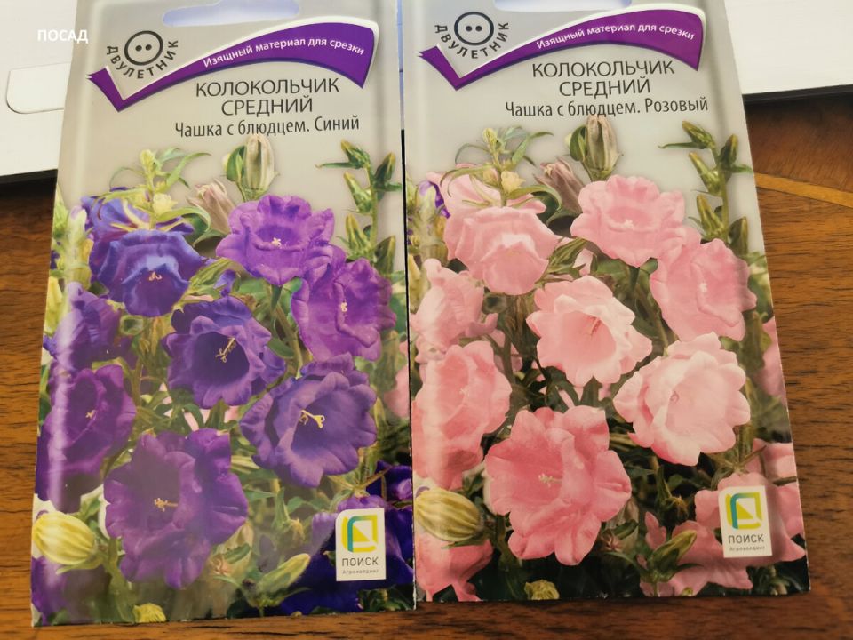 Как избежать неудач с семенами: важные нюансы стратификации