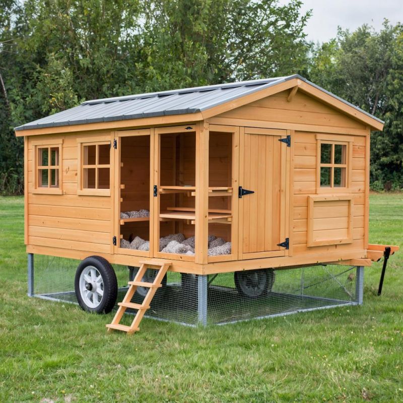 ��������� ��������: ����� ����� � ������� ��������� ������������