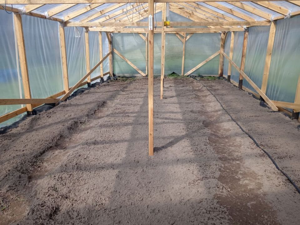 Умное землевладение: идеальная схема посадки овощей в двух теплицах