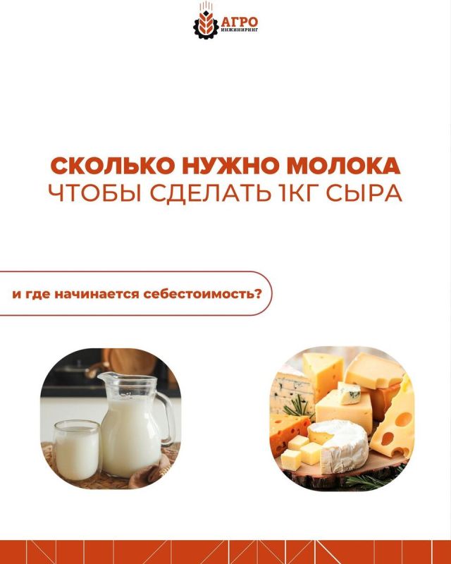Сколько молока необходимо для килограмма сыра?