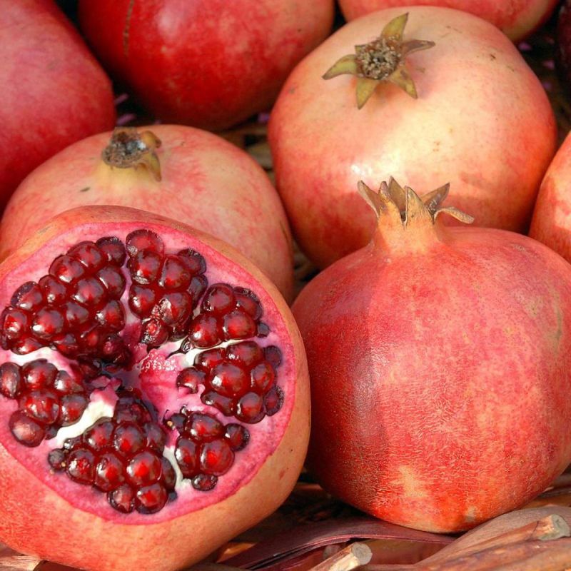 ��� ��������� �������� ���������� ������ ��� �������� ������