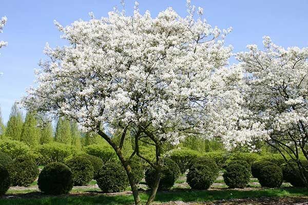 ����������� � ������������ ���� ����� �������� ��� ���������