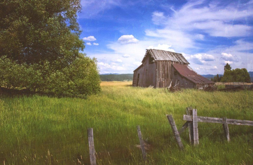 Сгоревшая дача или налоги на пустое место: как ЕГРН возвращает к жизни «мертвые души»