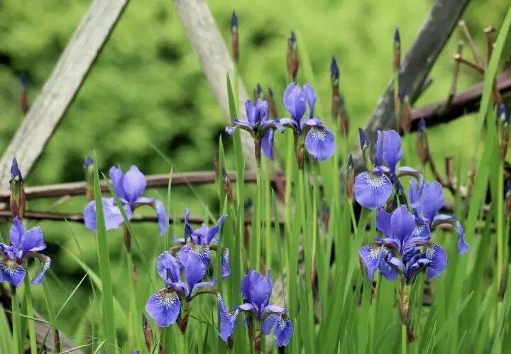 ��������� ������� ���� ��� ���������: ������ ��������� � 23 �� 29 �������