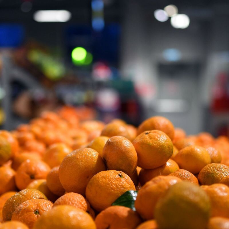 ���������: ����������� ����� � ����� ������� �����