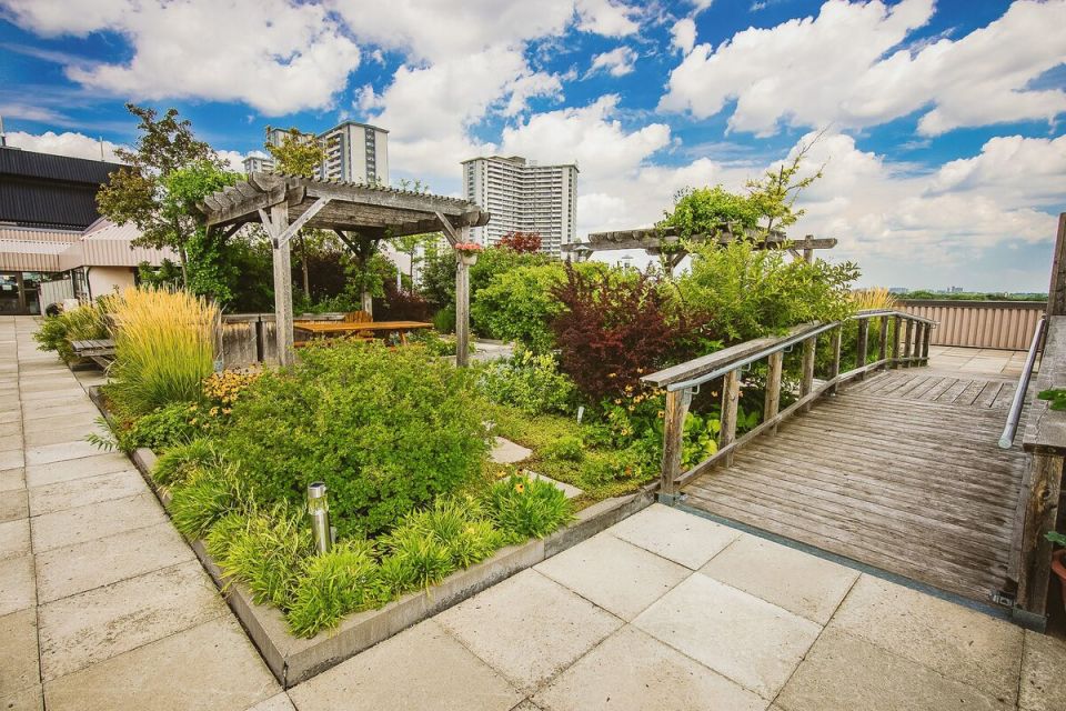 Как выбрать растения для зелёной кровли: советы и рекомендации